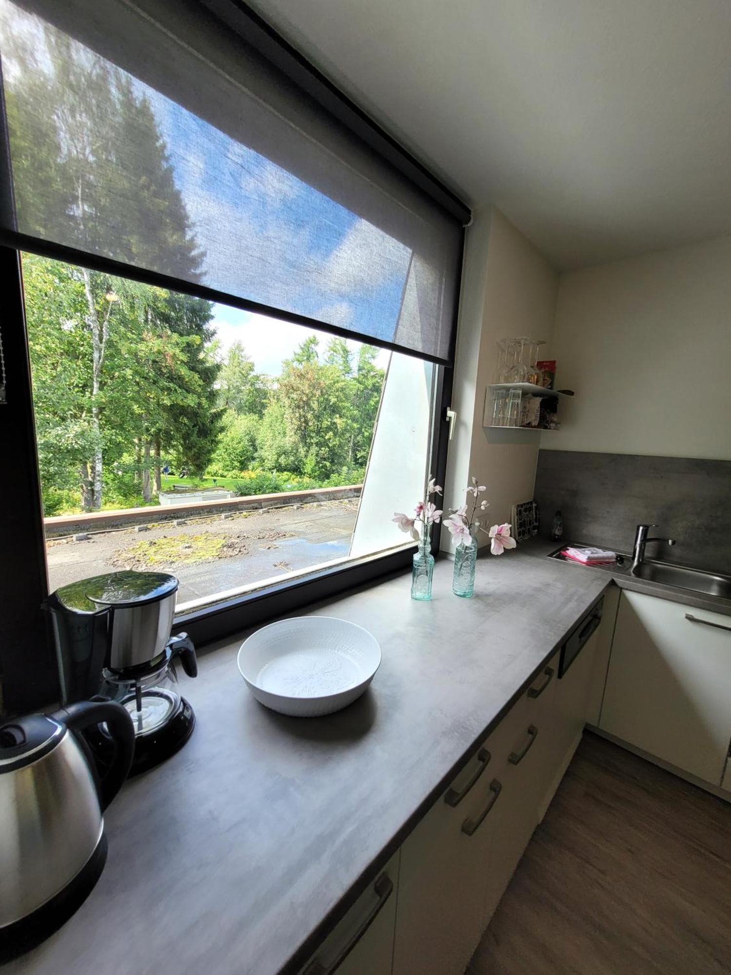 Winterberg Appartement 21097 Экстерьер фото