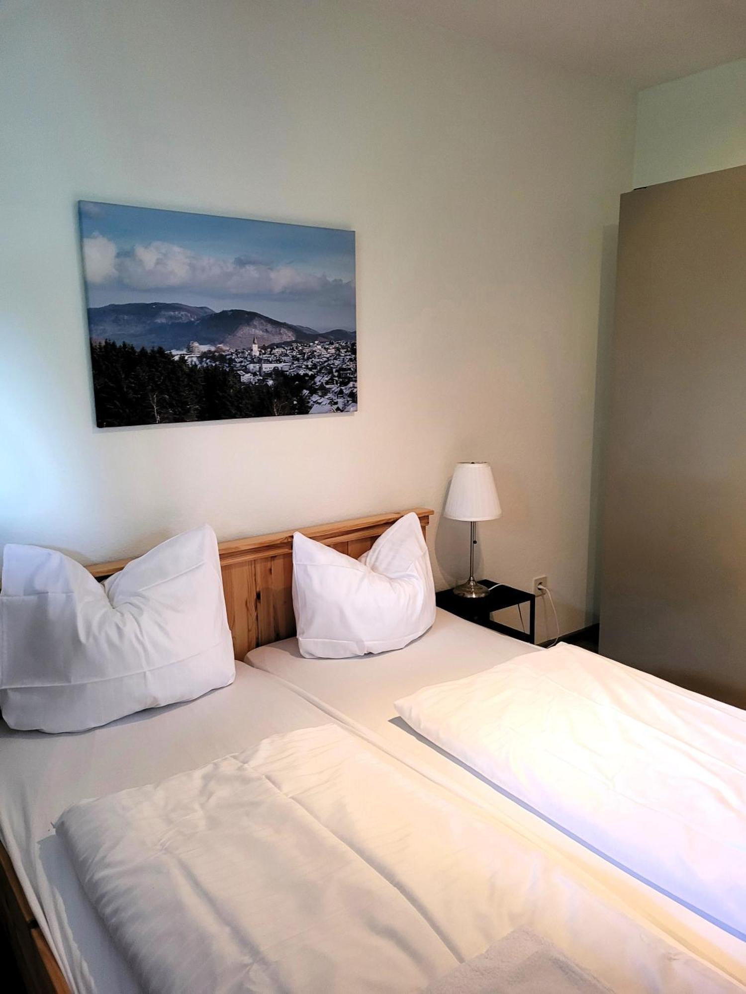 Winterberg Appartement 21097 Экстерьер фото