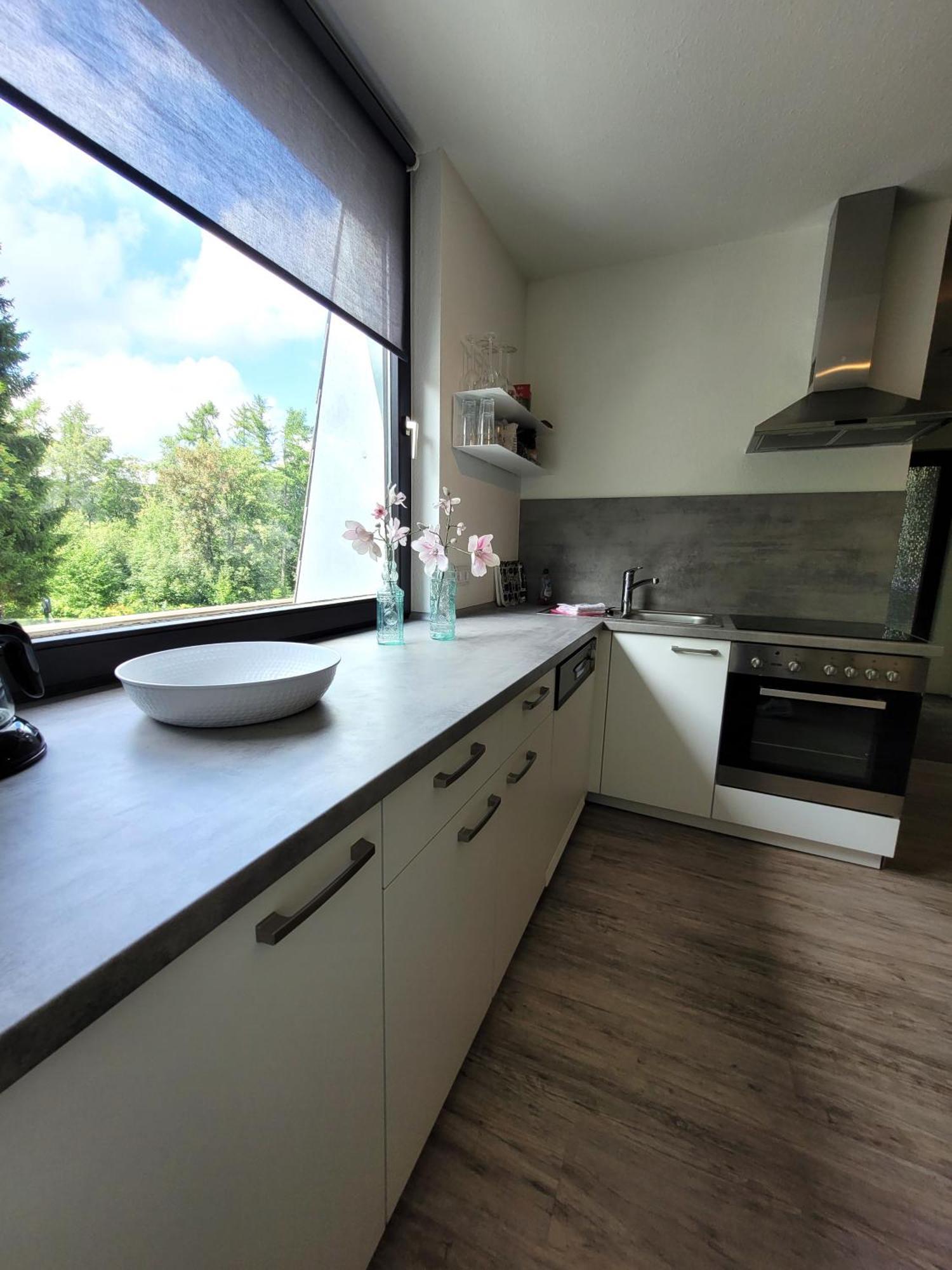 Winterberg Appartement 21097 Экстерьер фото