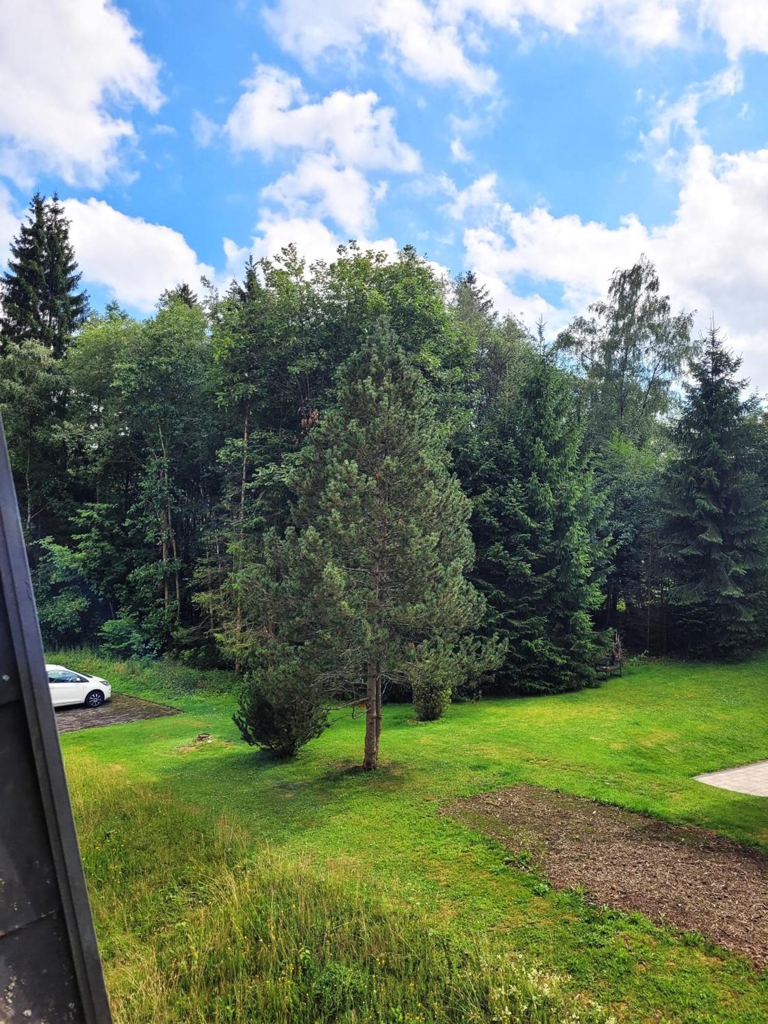 Winterberg Appartement 21097 Экстерьер фото