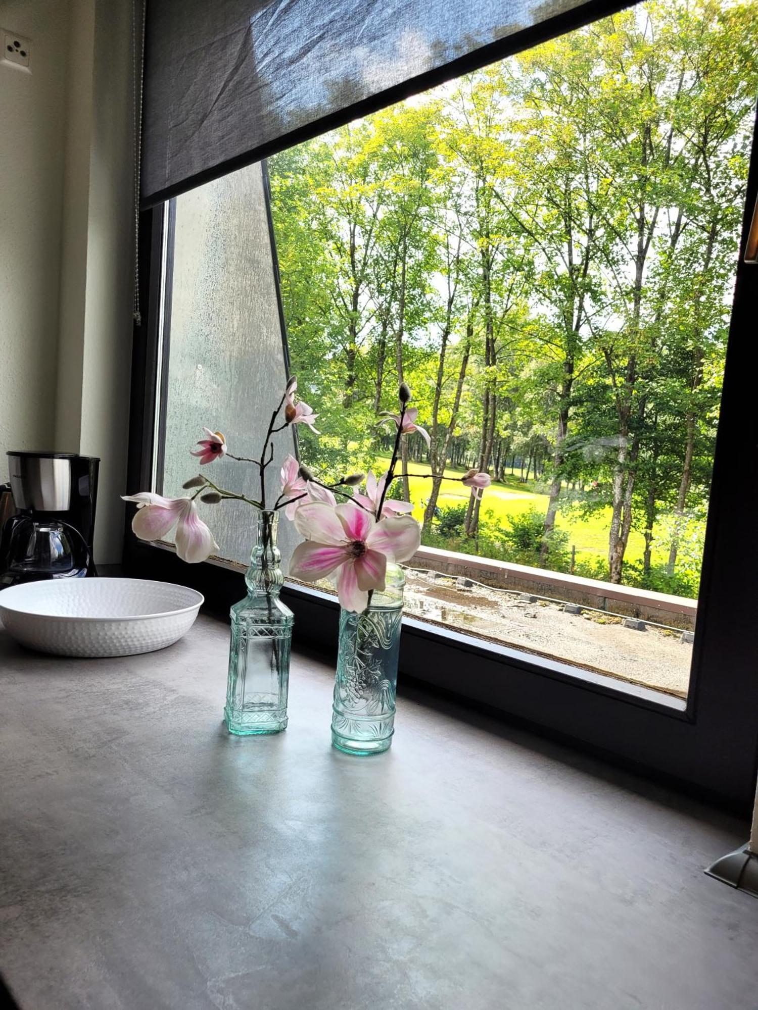 Winterberg Appartement 21097 Экстерьер фото